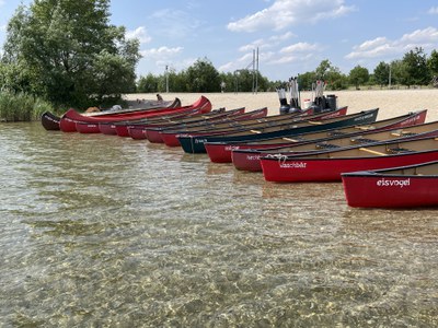 Kanus am Cospudener See